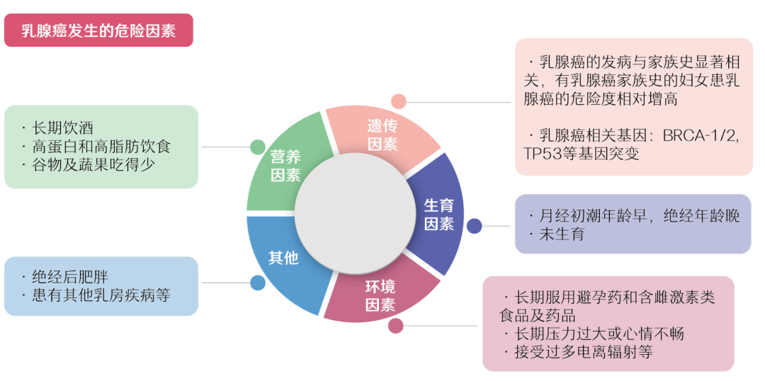 1669102444699666.png 640 (3).png