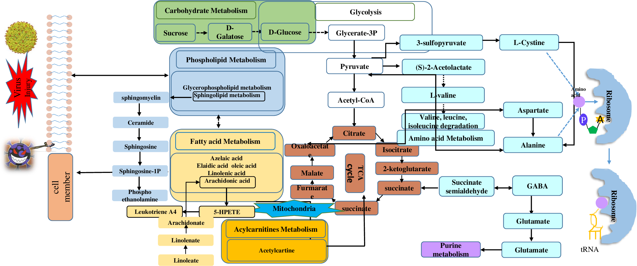 1628124149260074557.png 圖片1.png