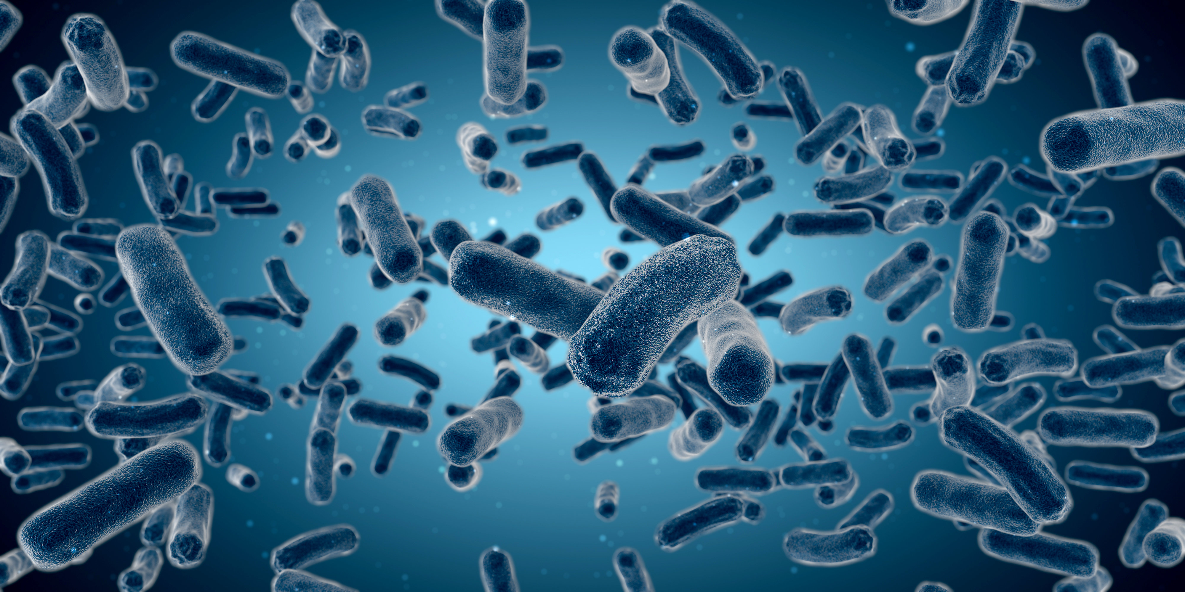 1630891639919022956.jpg 1.jpg