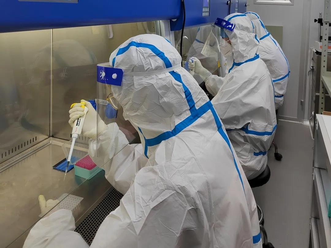 1636337843103044428.jpg 33.jpg