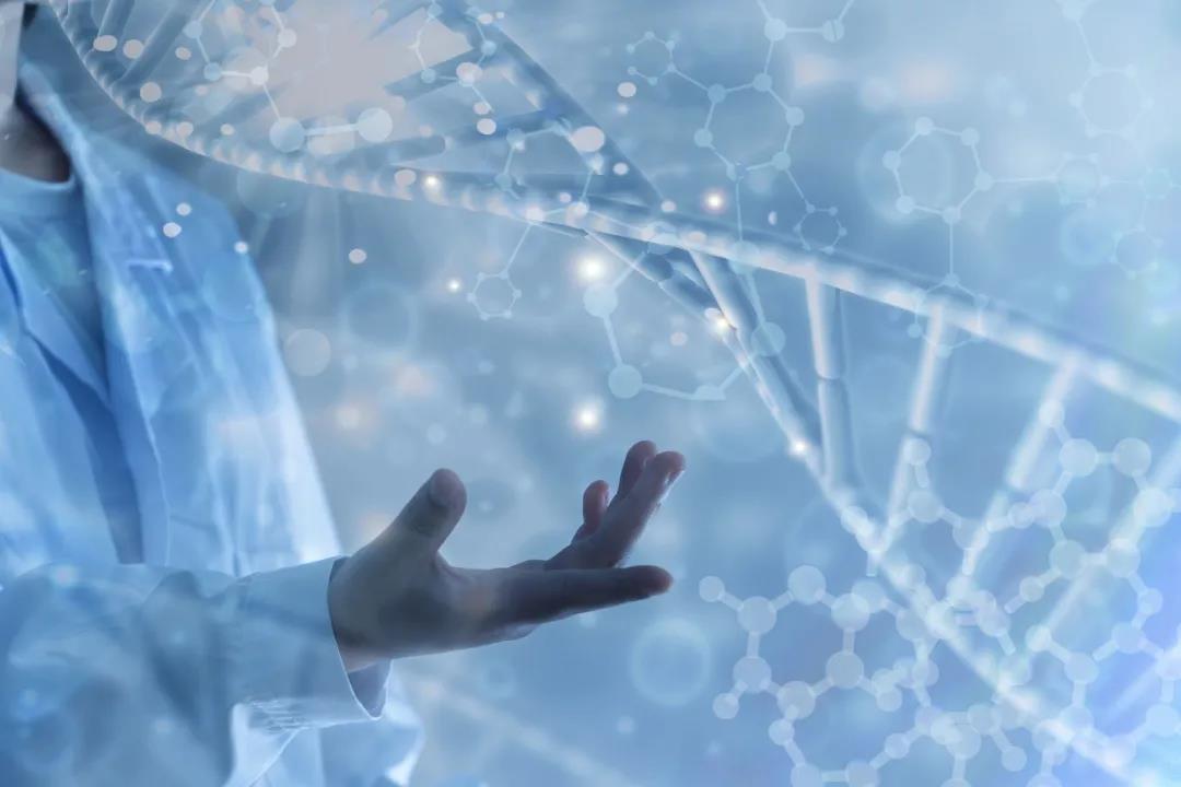 1636423418720096260.jpg 3.jpg