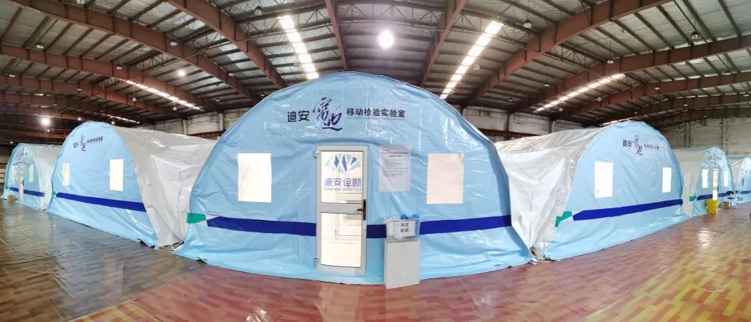 1636962532835039191.jpg 5.jpg