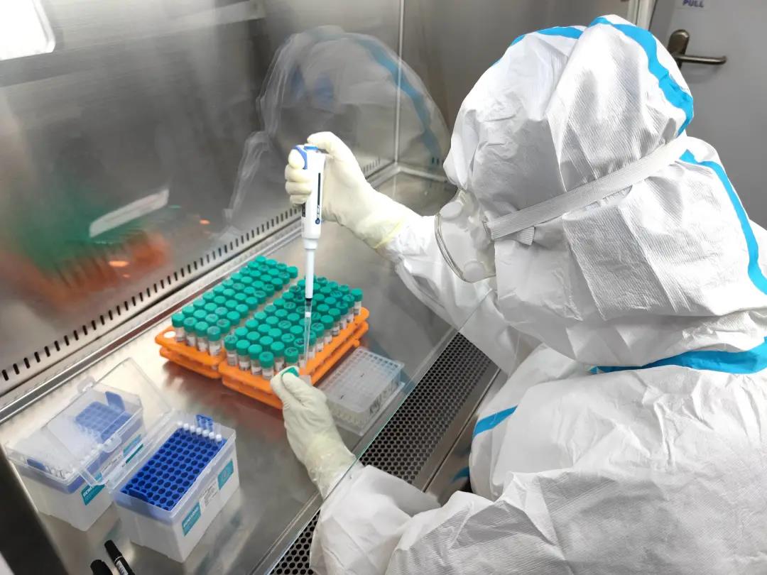 1641965477016062846.jpg 2.jpg