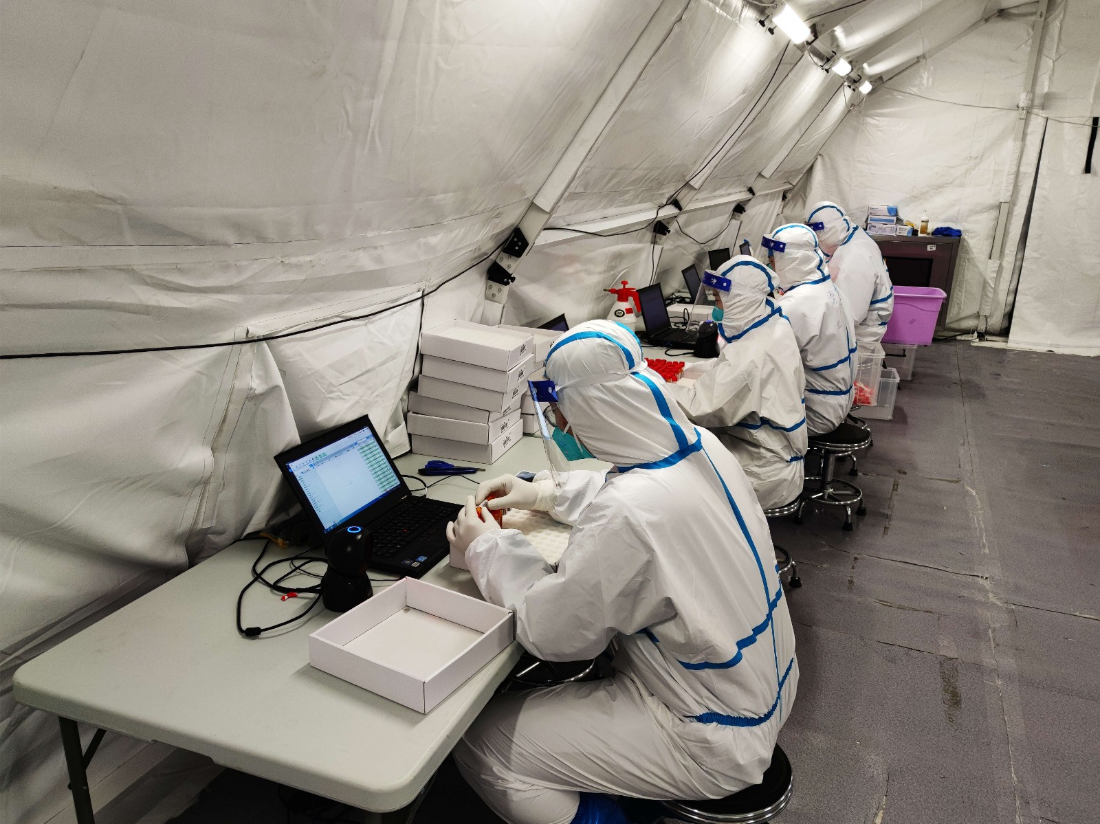 1641967486283055804.jpg 2.jpg