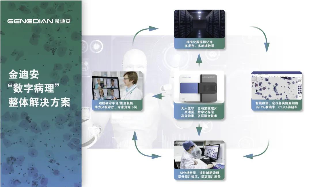 1642725612517021857.jpg 6.jpg