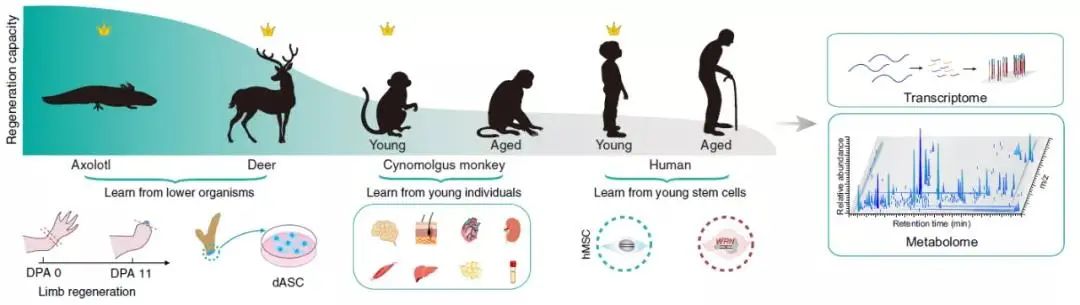 1644461850262063130.jpg 2.jpg