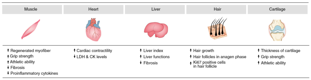 1644461866662003371.png 3.png