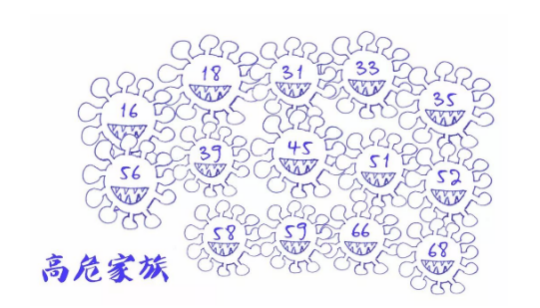 1649295839668026540.png 640 (16).png