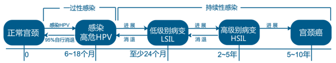 1649295878069090103.png 640 (17).png