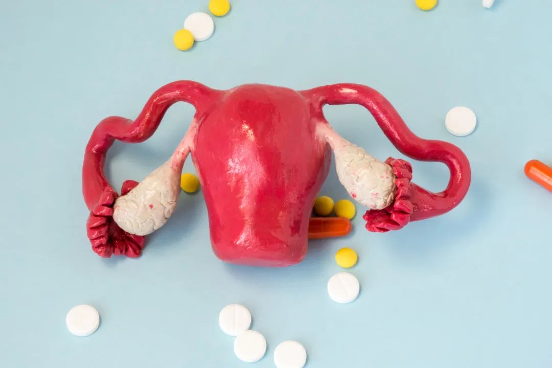 1649295891867055830.jpg 640 (7).jpg