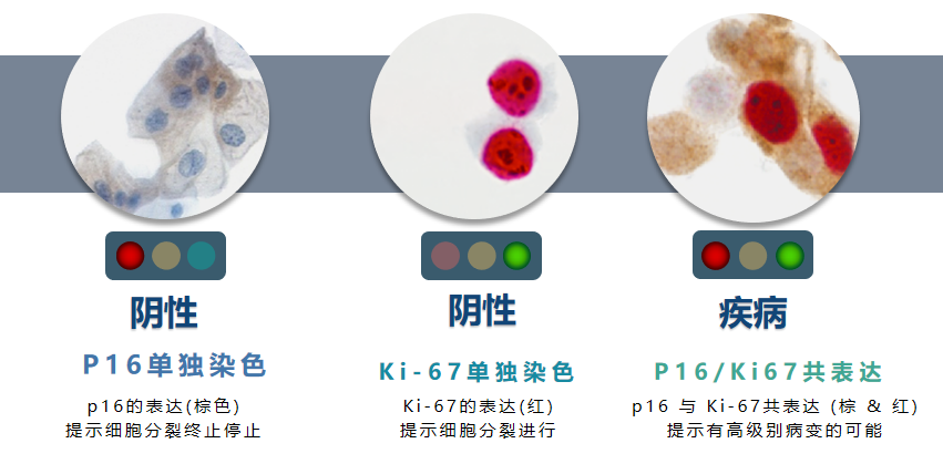 1649295911304072356.png 640 (18).png