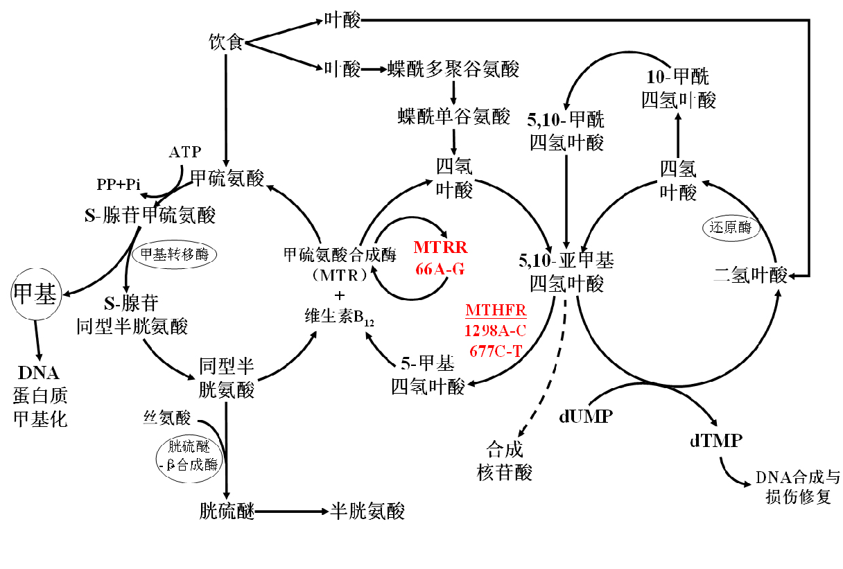 1649754123804022365.png 369AF1CB-0DE1-4a85-A41D-9AE13DC6C8A3.png