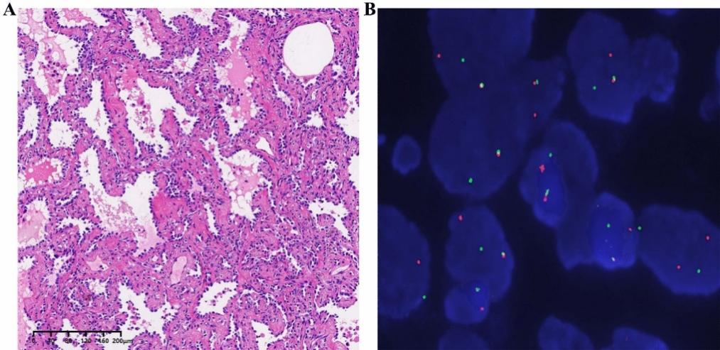 1651049201401004640.png 圖片2.png